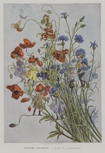 Fleurs Animees. Bleuets et Coquelicots. (Animált virágok: búzavirág és mák)