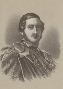 Albert herceg, Viktória királynő hitvese