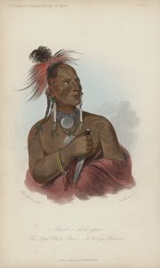 Meach-o shin-gaw, A kis fehér medve, A Konza harcos (akvatinta)