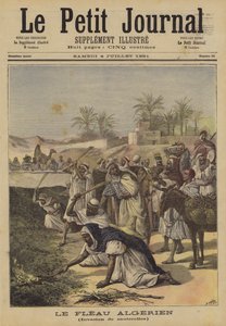 Algériai pestis