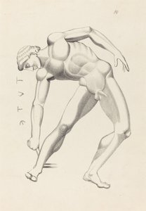 Tydaeus alkotó: after John Flaxman