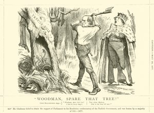 Woodman, kíméld meg azt a fát!