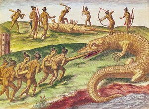 Vadászatkrokodilok, a „Brevis Narratio...”-ból, Theodore de Bry, 1591, (színes metszet) alkotó: after Le Moyne, J.Bry
