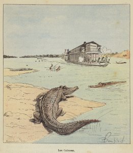 Az aligátorok alkotó: after Louis Charles Bombled