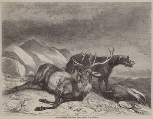 Deer-Stalking, a haldokló szarvasbika alkotó: after Richard Ansdell