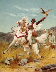 Hawking Marokkóban (chromolitho)