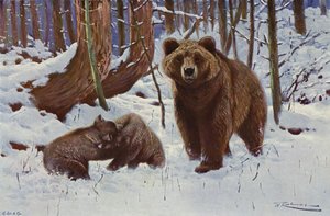 Barna medve alkotó: after Wilhelm Kuhnert