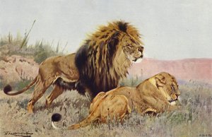 Oroszlán és Oroszlán