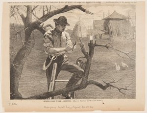 Tavaszi mezőgazdasági munka – oltás alkotó: Winslow Homer