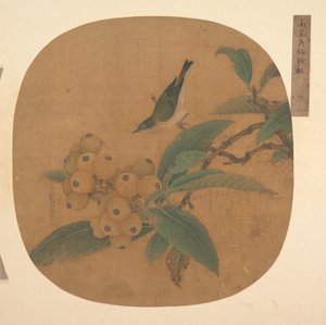Madár a Loquat fán alkotó: anonymous 