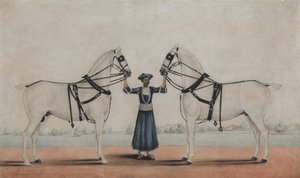 Egy Syce vőlegény, aki két kocsis lovat tart, kb. 1845. alkotó: attributed to Shaikh Muhammad Amir of