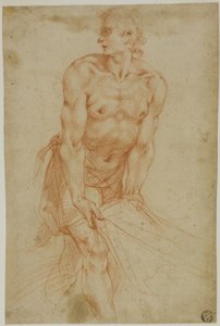 Férfi húzza a lepedőt: Certosa di San Martino sekrestye, Nápoly, 1596]