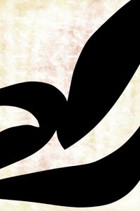 Absztrakt kalligrafikus görbék alkotó: cartissi