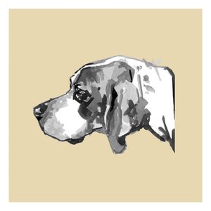 Elegáns kutya profil alkotó: cartissi