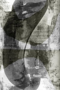 Folyékony, monokróm formák alkotó: cartissi
