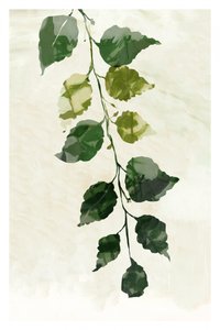  alkotó: cartissi