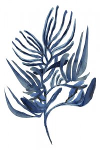 Indigo botanikai tanulmány