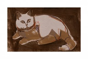 Pihenő macska alkotó: cartissi
