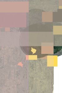 Halk geometrikus rétegek alkotó: cartissi