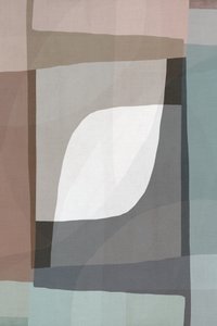 Lágy geometriai áramlás alkotó: cartissi
