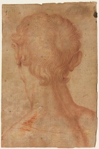 Férfifej hátulról alkotó: copy after Agnolo Bronzino