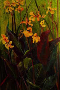 Canna Lily, 2017 (olaj, vászon)