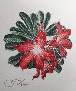 SIVATAGI VIRÁG alkotó: miguelmendez_art.ve