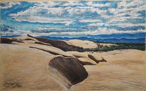 MEDANOS DE CORO