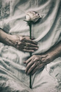 Gyengéd kezek tartanak egy rózsát alkotó: nima.zadshir