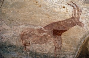 Patás állat, barlangfestmény, Sephar, Tassili n