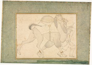 teve és vőlegény; Egyoldalas illusztráció alkotó: style of Shaykh Muhammad