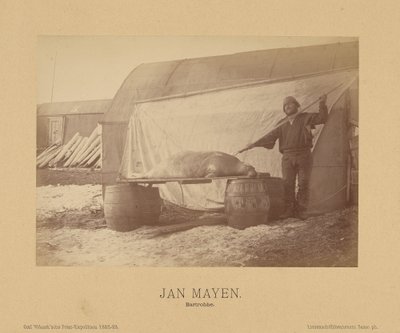 Jan Mayen, Bartrobbe alkotó: (Linienschiffs Lieutenant) Richard Basso