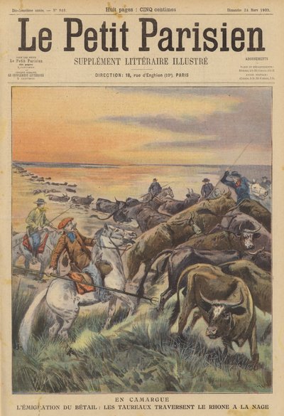 Az állatállomány vándorlása Camargue-ban: bikacsorda úszik át a Rhone folyón (színes litho) alkotó: (after) Carrey