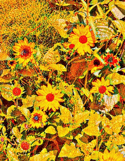 Van Gogh napraforgói. alkotó: Margareta Uliarte