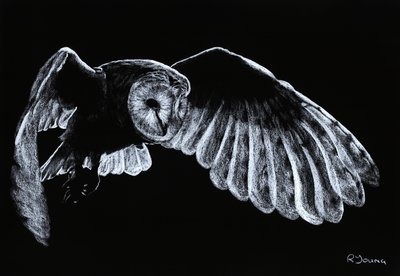 Csűrbagoly alkotó: Richard Young