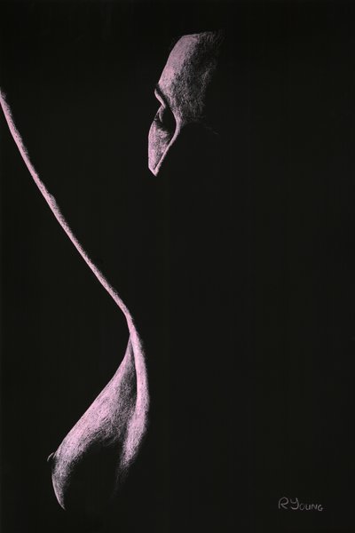 Kényszerítés alkotó: Richard Young