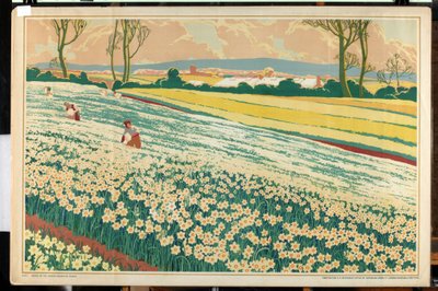 Isles of Scilly, a "Home Bulbs for Home Gardens" sorozatból (színes litho) alkotó: A.A. Moores