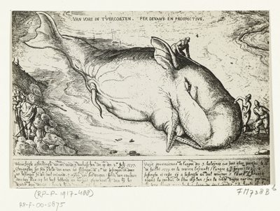 Az Antwerpen közelében elmosódott bálna lenyomata, 1577. július 2 alkotó: A.B. van Deinse
