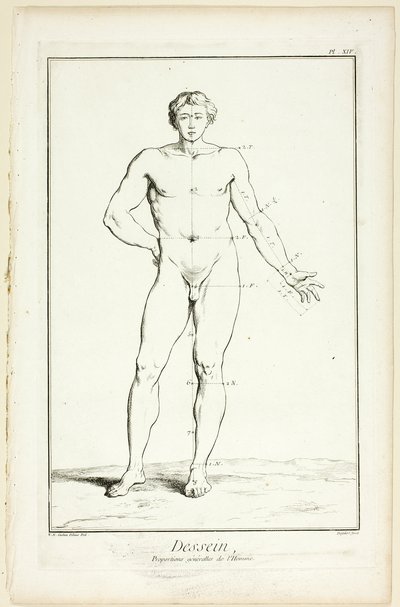 Tervezés: Encyclopédie: A férfi általános arányai, az Encyclopédie-ból. alkotó: A. J. Defehrt