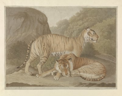 Két tigris egy tájban alkotó: A. Lutz