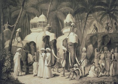 A travandrumi rádzsa elefántjai, a „Voyage in India” című művéből, Louis Henri de Rudder (1807-81) metszetében alkotó: A. Soltykoff