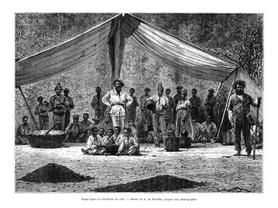 Étkezés a kávézás után, Brazília, 19. század alkotó: A. de Neuville