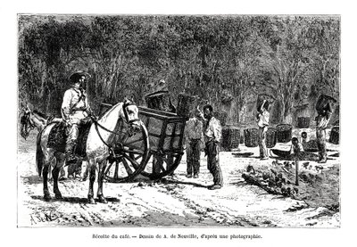 A kávé betakarítása, Brazília, 19. század alkotó: A. de Neuville