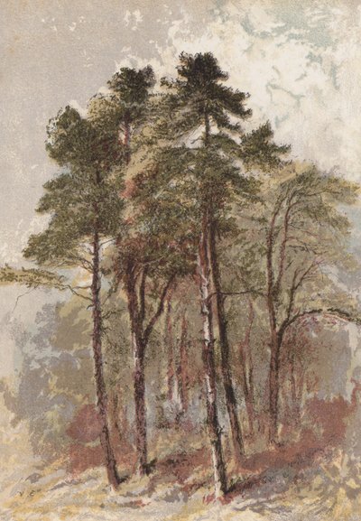 fenyőfacsoport (kromolito) alkotó: Aaron Edwin Penley