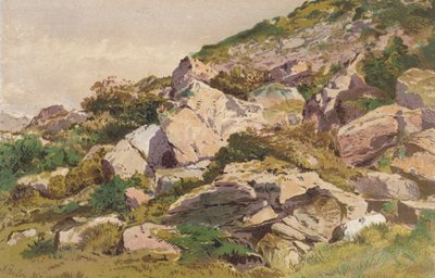 A Taliaris északi oldalán lévő kövek tanulmányozása, Llandilo közelében, Dél-Wales (chromolitho) alkotó: Aaron Edwin Penley
