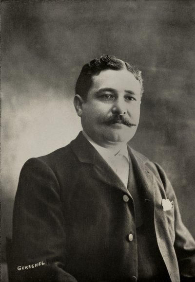 Alphonse Daudet író portréja (fotó) alkotó: Aaron Gerschel