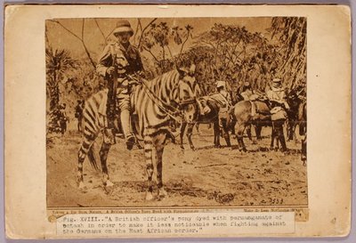 Ló és cirkáló álcázva, tanulmányi mappa a Concealing Coloration in the Animal Kingdom című könyvhöz alkotó: Abbott Handerson Thayer