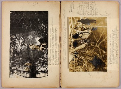 N. Amerikai indiánok, tanulmányi mappa a Concealing Coloration in the Animal Kingdom című könyvhöz alkotó: Abbott Handerson Thayer