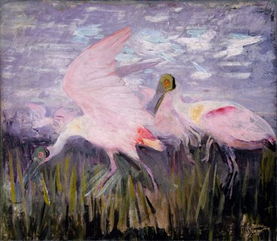 Rózsaszínű kanalasgémek, tanulmány a Concealing Coloration in the Animal Kingdom című könyvhöz alkotó: Abbott Handerson Thayer