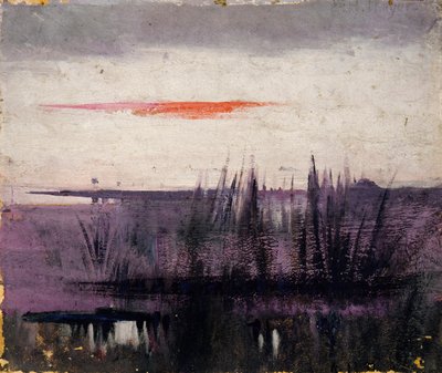 A fehér flamingók által szimulált égbolt tanulmány a könyvhöz, Concealing Coloration in the Animal Kingdom (A színezés elrejtése az állatvilágban) alkotó: Abbott Handerson Thayer